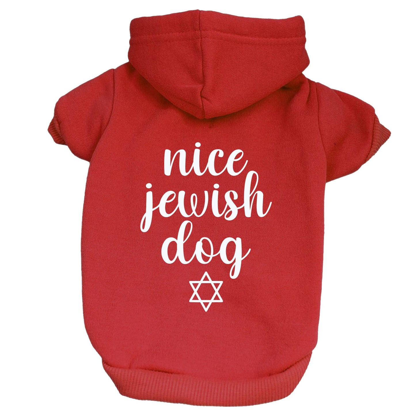 Nice Jewish Dog Dog Hoodie