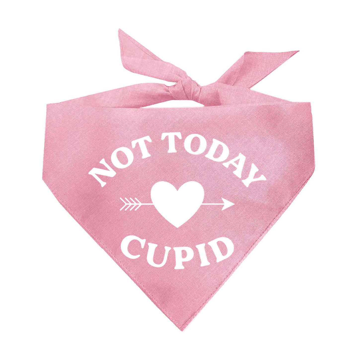 Not Today Cupid Valentine's Day Triangle Dog Bandana