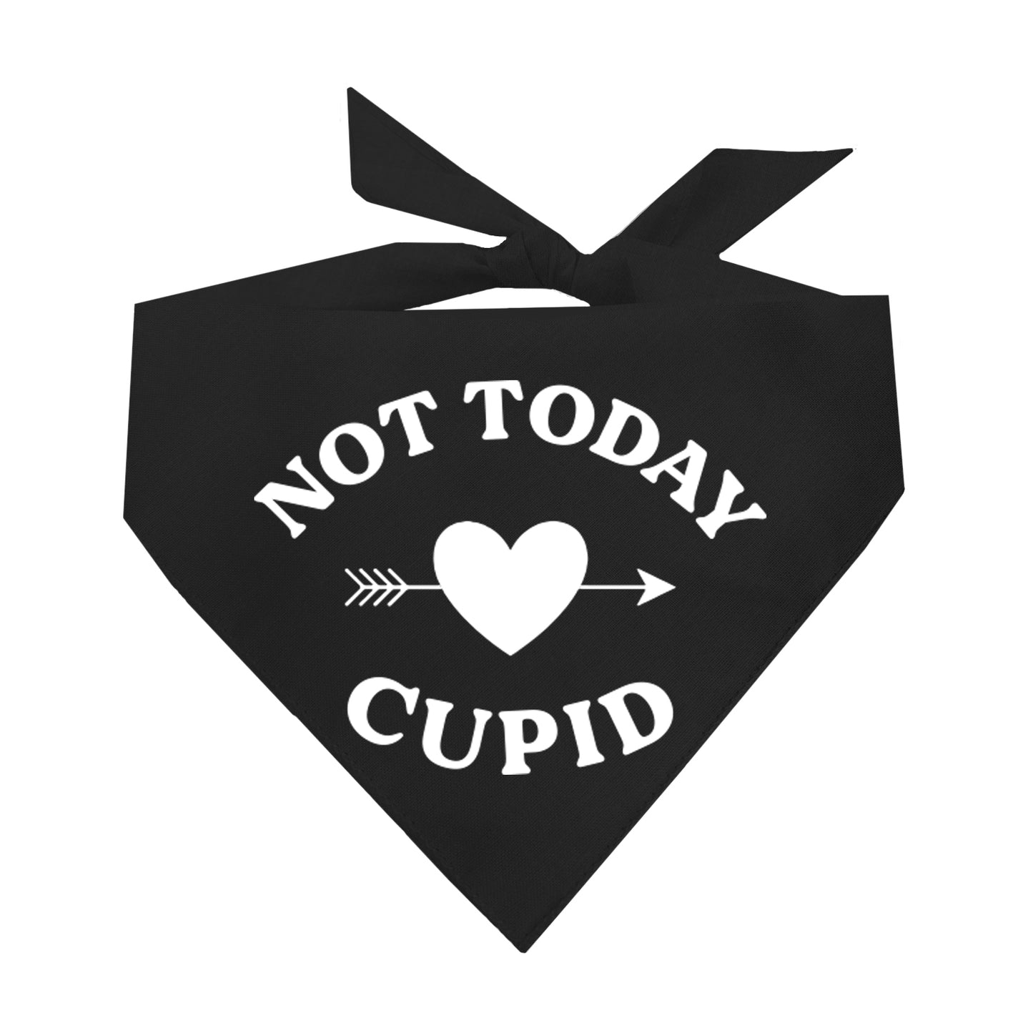 Not Today Cupid Valentine's Day Triangle Dog Bandana