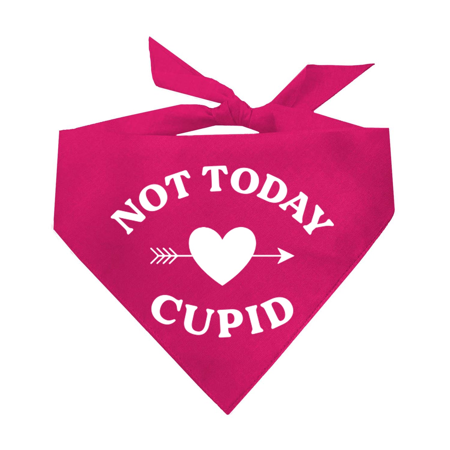 Not Today Cupid Valentine's Day Triangle Dog Bandana