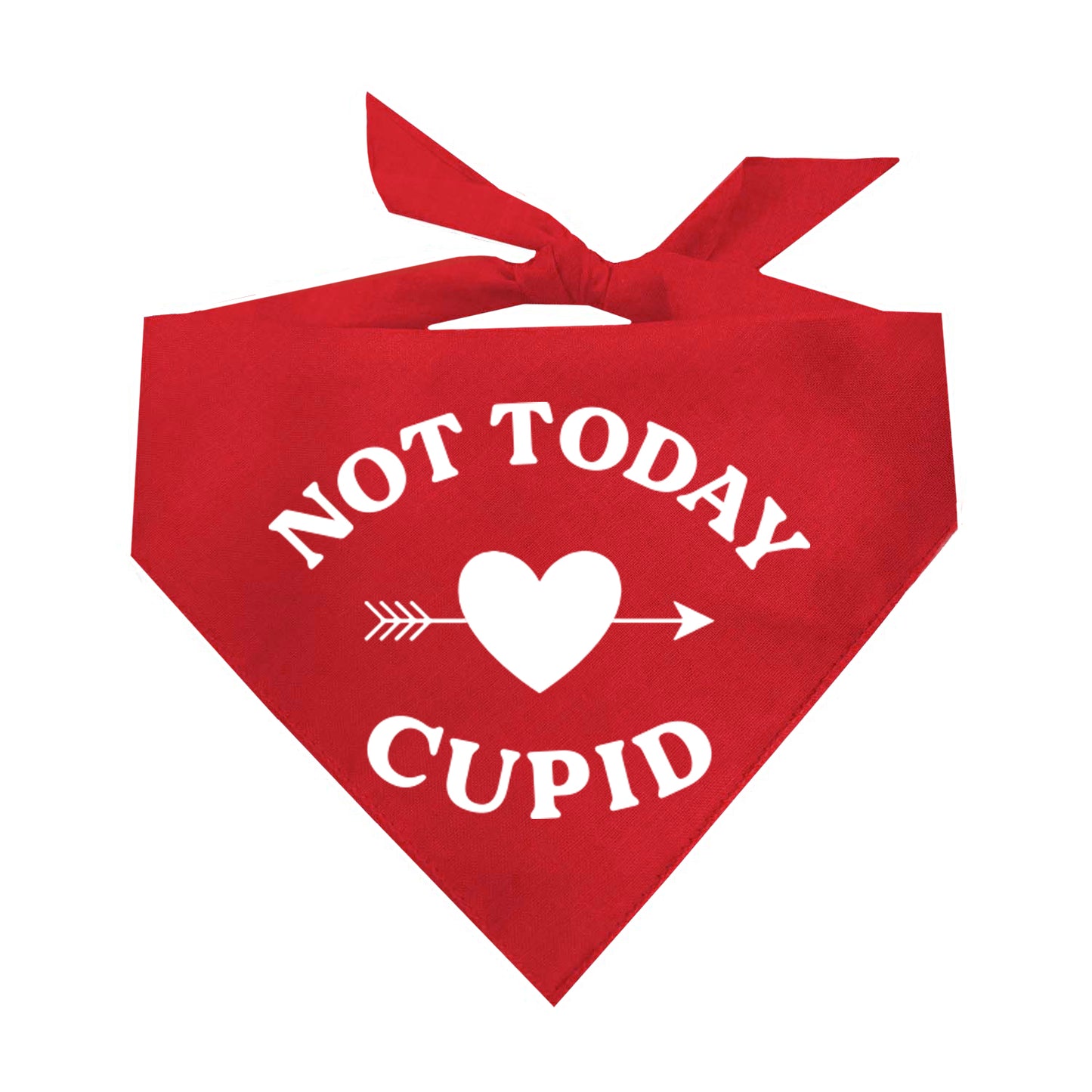 Not Today Cupid Valentine's Day Triangle Dog Bandana