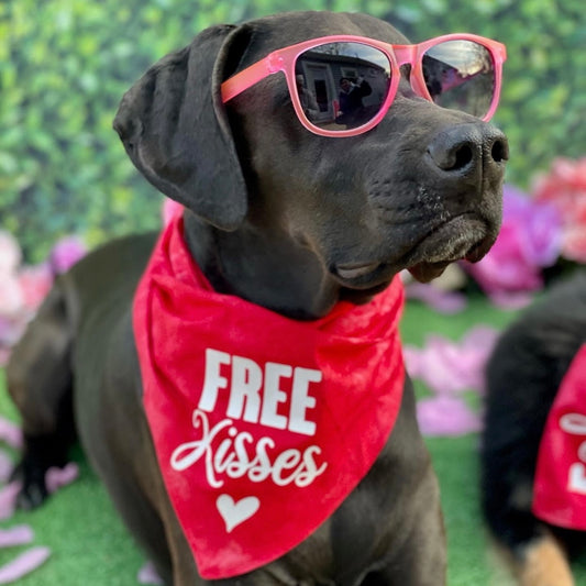 Free Kisses With Heart Valentine's Day Triangle Dog Bandana