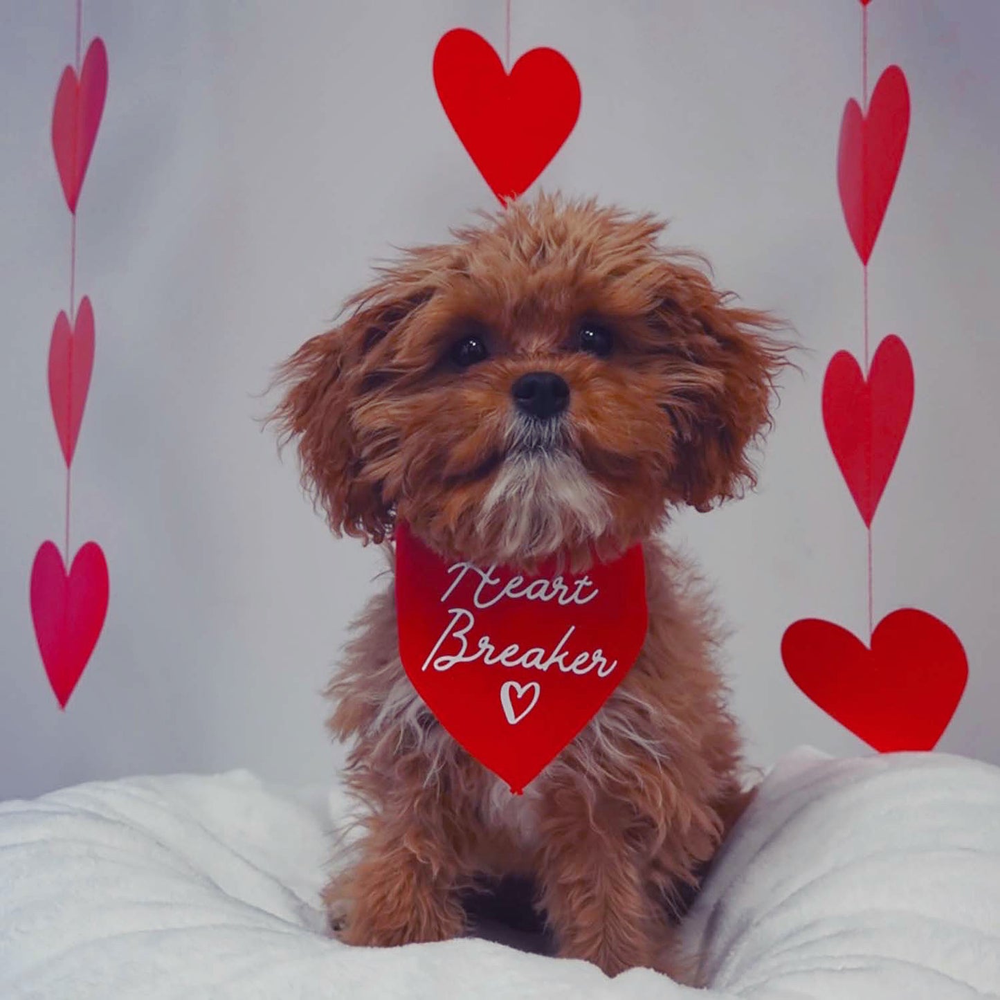 Heart Breaker Valentine's Day Triangle Dog Bandana