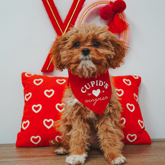 Cupid's Wingman Valentine's Day Triangle Dog Bandana