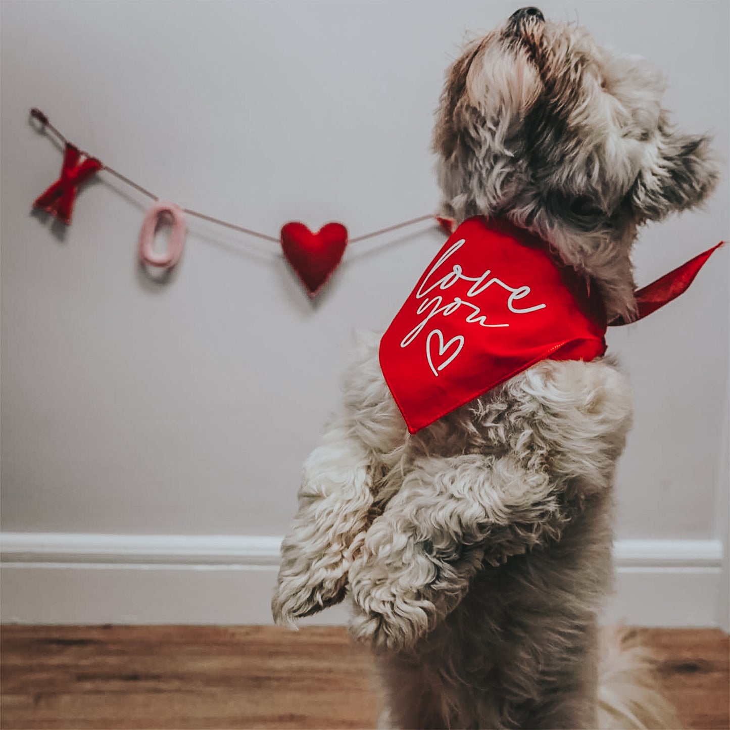 Love You Triangle Dog Bandana