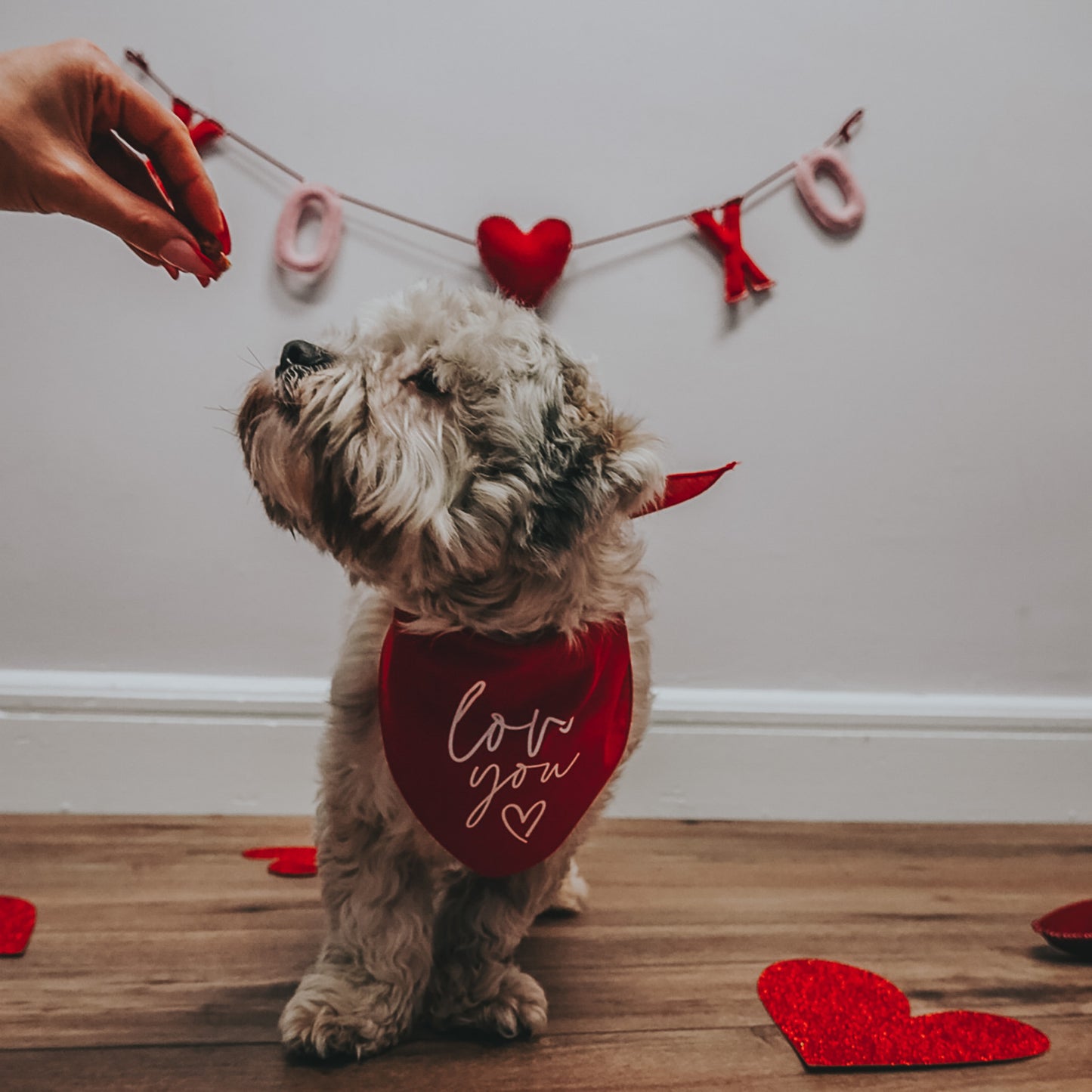 Love You Triangle Dog Bandana